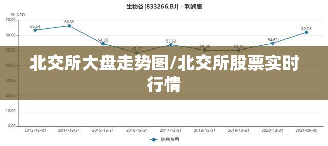 北交所大盘走势图/北交所股票实时行情