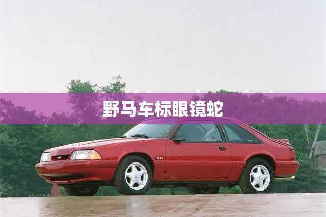 野马车标眼镜蛇/福特野马眼镜蛇车标 野马车标眼镜蛇/福特野马眼镜蛇车标