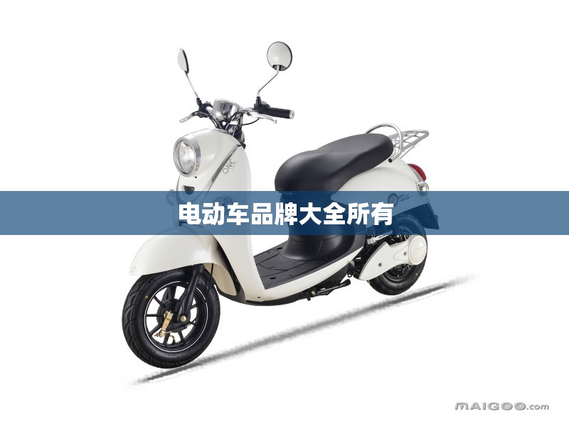 电动车品牌大全所有(电动车品牌大全100名)