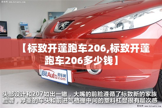 【标致开蓬跑车206,标致开蓬跑车206多少钱】