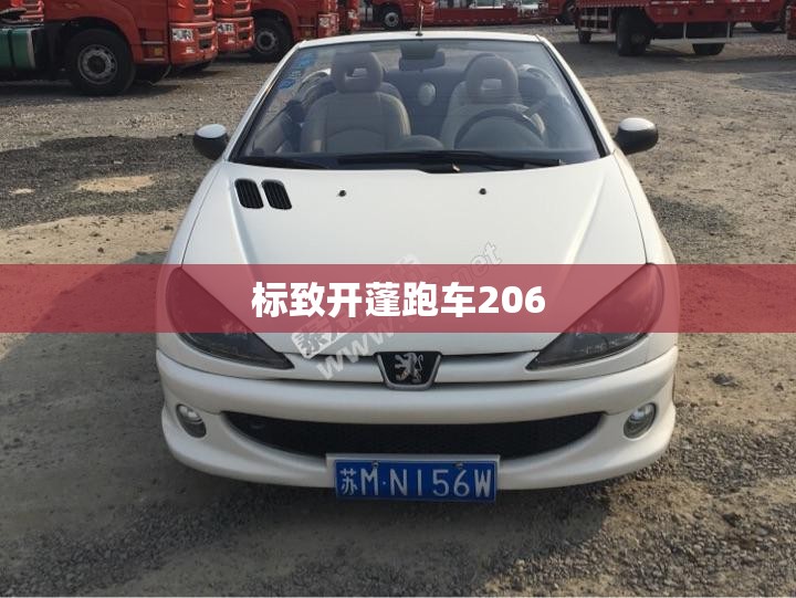 【标致开蓬跑车206,标致开蓬跑车206多少钱】 【标致开蓬跑车206,标致开蓬跑车206多少钱】