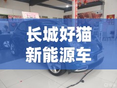 长城好猫新能源车型及费用/长城欧拉好猫纯电动汽车费用 长城好猫新能源车型及费用/长城欧拉好猫纯电动汽车费用