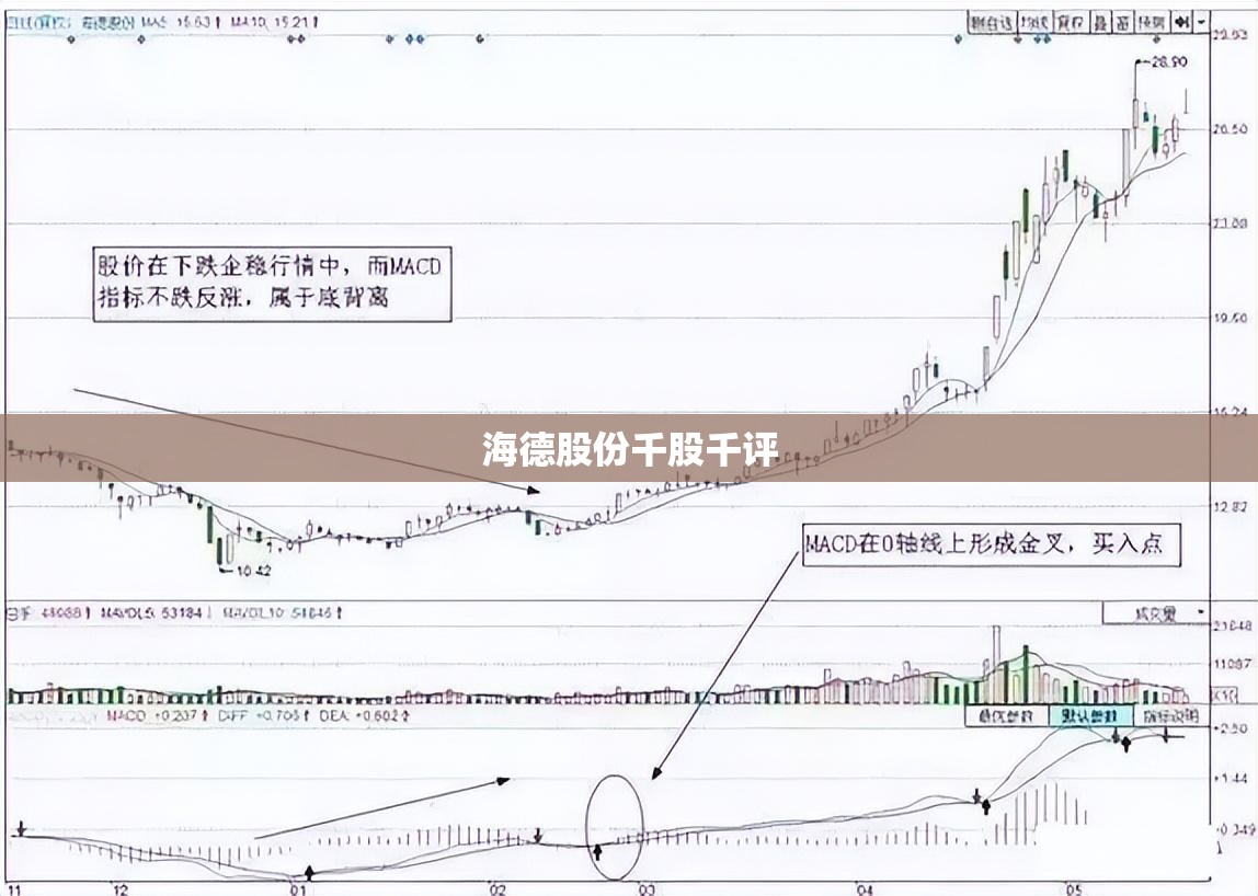 海德股份千股千评(海德股份千股千评怎么样) 海德股份千股千评(海德股份千股千评怎么样)
