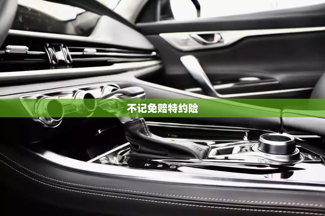 不记免赔特约险/保险不记免赔在哪项