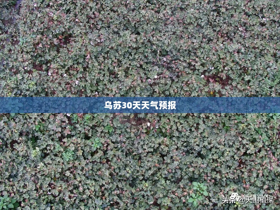 乌苏30天天气预报/乌海30天天气预报查询