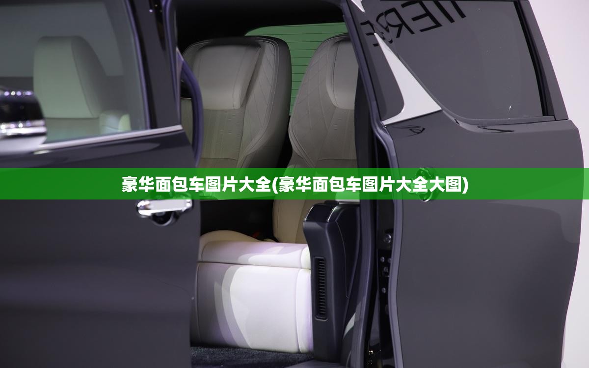 豪华面包车图片大全(豪华面包车图片大全大图) 豪华面包车图片大全(豪华面包车图片大全大图)