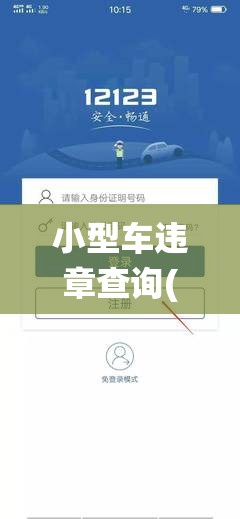 小型车违章查询(小型车违章查询系统)