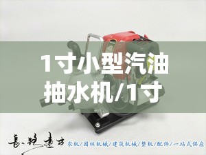 1寸小型汽油抽水机/1寸小型汽油抽水机费用 1寸小型汽油抽水机/1寸小型汽油抽水机费用