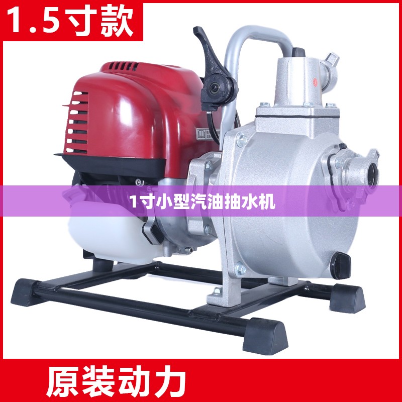 1寸小型汽油抽水机/1寸小型汽油抽水机费用 1寸小型汽油抽水机/1寸小型汽油抽水机费用