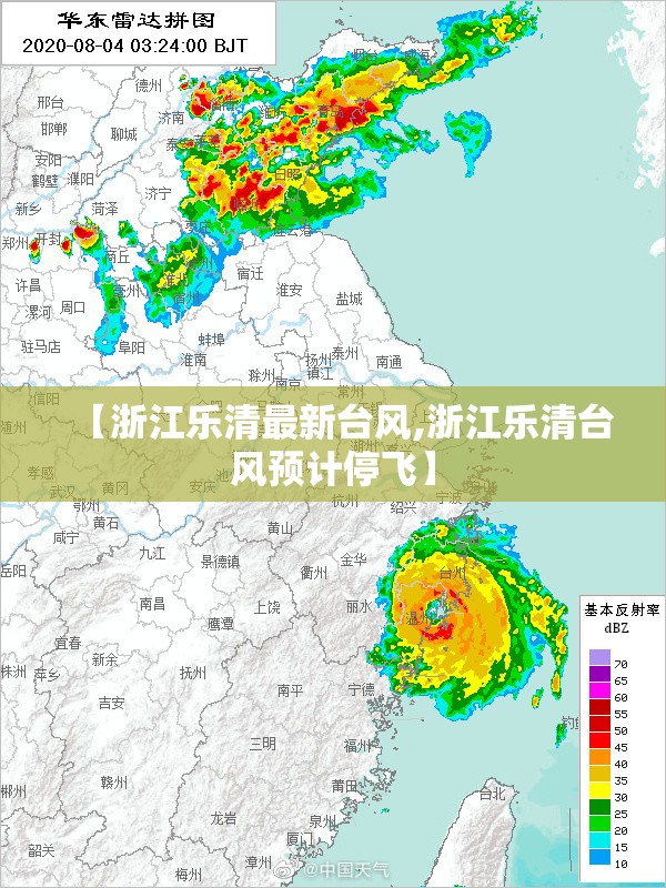 【浙江乐清最新台风,浙江乐清台风预计停飞】
