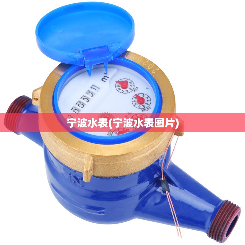 宁波水表(宁波水表图片)