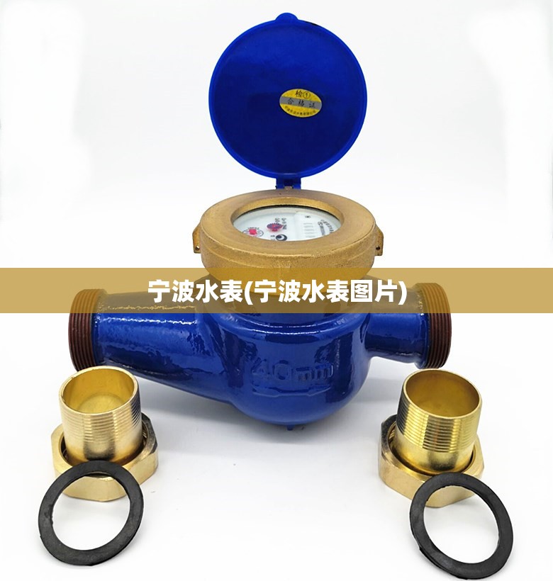 宁波水表(宁波水表图片)
