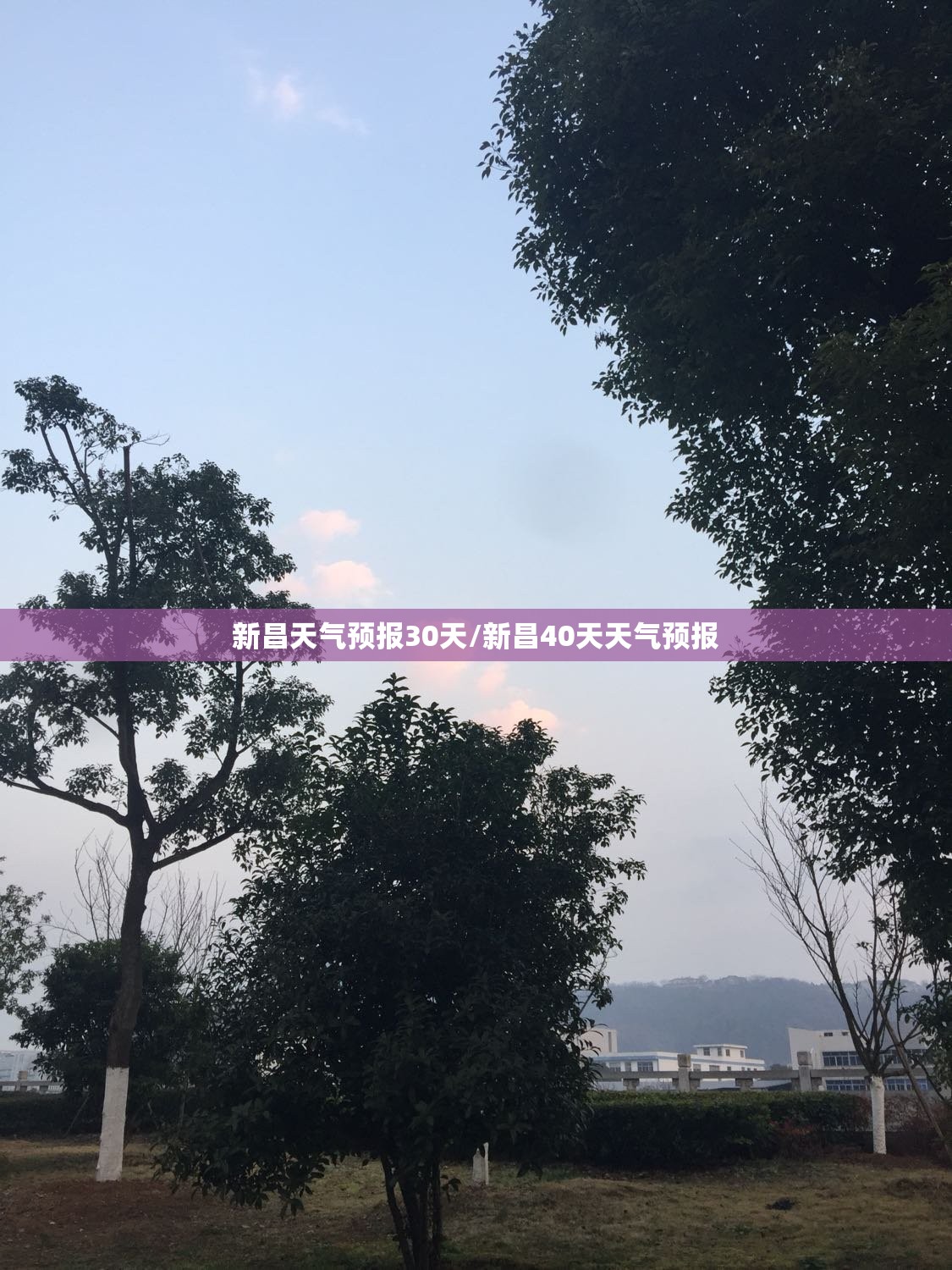 新昌天气预报30天/新昌40天天气预报