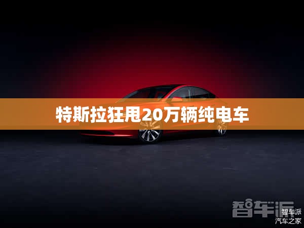 特斯拉狂甩20万辆纯电车(特斯拉拟两年内产量冲300万) 特斯拉狂甩20万辆纯电车(特斯拉拟两年内产量冲300万)