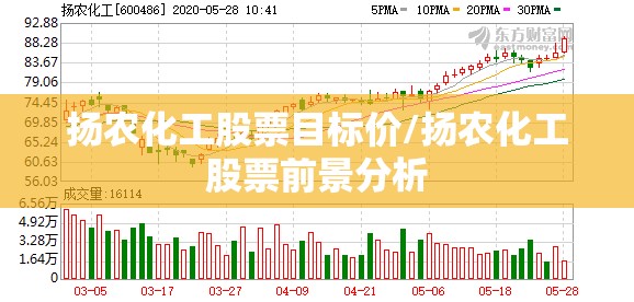 扬农化工股票目标价/扬农化工股票前景分析 扬农化工股票目标价/扬农化工股票前景分析