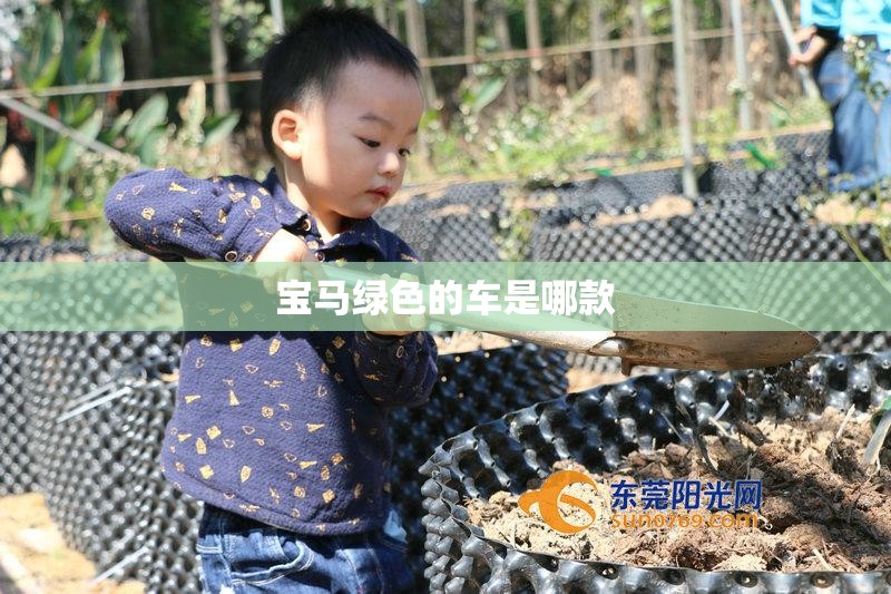 宝马绿色的车是哪款(宝马蓝绿色是哪个车) 宝马绿色的车是哪款(宝马蓝绿色是哪个车)