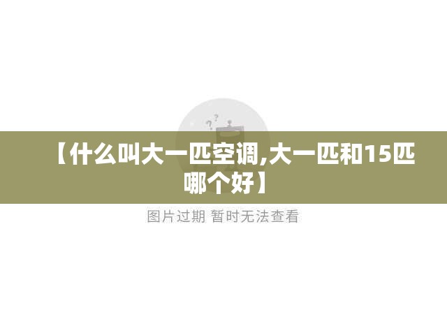 【什么叫大一匹空调,大一匹和15匹哪个好】