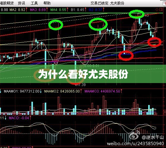 为什么看好尤夫股份/尤夫股份前景如何 为什么看好尤夫股份/尤夫股份前景如何