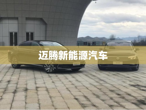 【迈腾新能源汽车,byd6座新能源汽车】 【迈腾新能源汽车,byd6座新能源汽车】