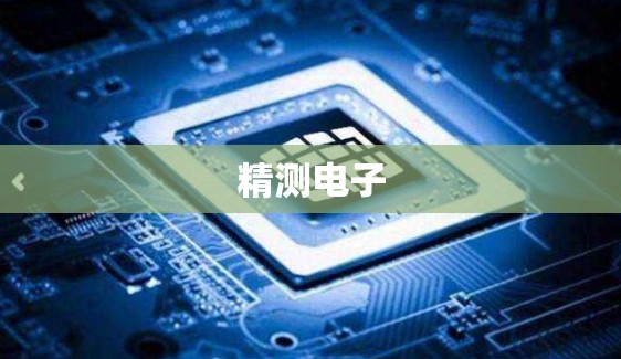 精测电子(精测电子半年报)