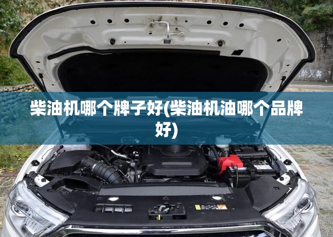 柴油机哪个牌子好(柴油机油哪个品牌好)