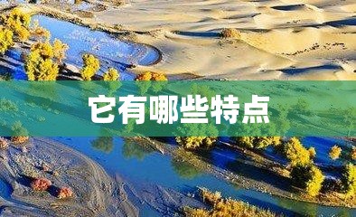 它有哪些特点(狗有哪些特点简单描述)