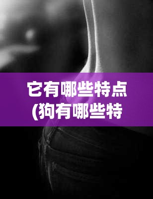 它有哪些特点(狗有哪些特点简单描述)