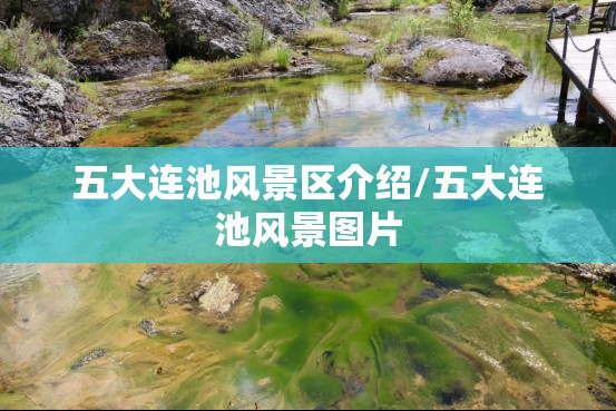 五大连池风景区介绍/五大连池风景图片 五大连池风景区介绍/五大连池风景图片