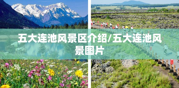 中国广核股票怎么样/中国广核股票能长期持有吗