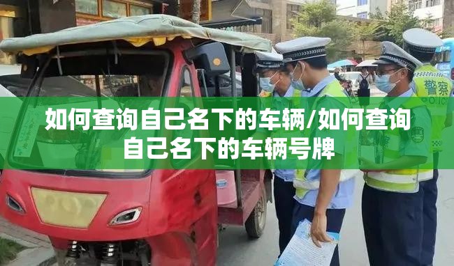 如何查询自己名下的车辆/如何查询自己名下的车辆号牌