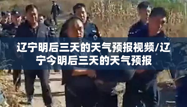 辽宁明后三天的天气预报视频/辽宁今明后三天的天气预报
