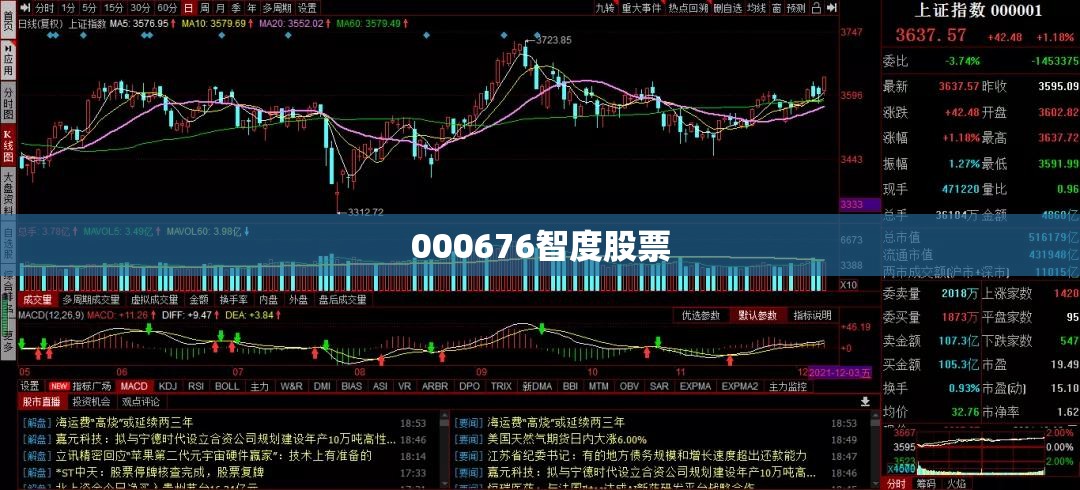 000676智度股票(000676智度股票行情)