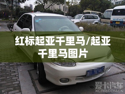 红标起亚千里马/起亚千里马图片 红标起亚千里马/起亚千里马图片