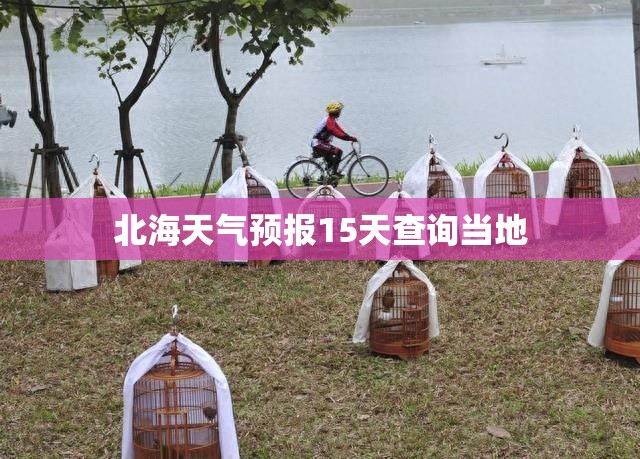 北海天气预报15天查询当地(北海天气预报15天准确一览表查询结果)