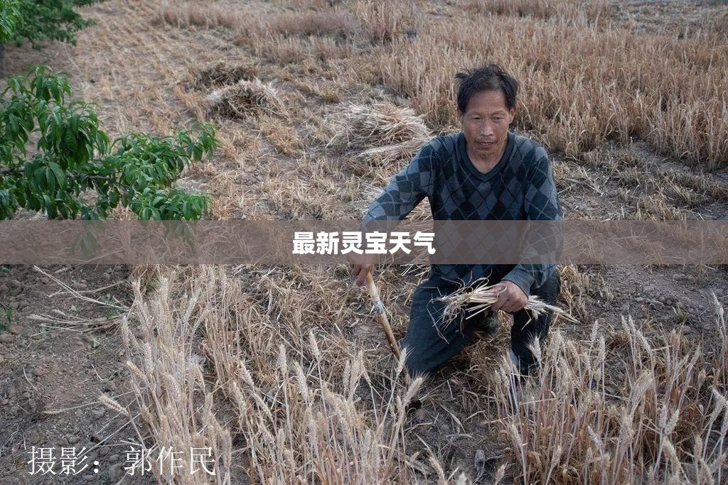 最新灵宝天气(灵宝天气最近一周天气预报) 最新灵宝天气(灵宝天气最近一周天气预报)