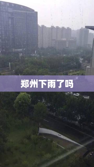郑州下雨了吗(郑州下雨了吗最近)