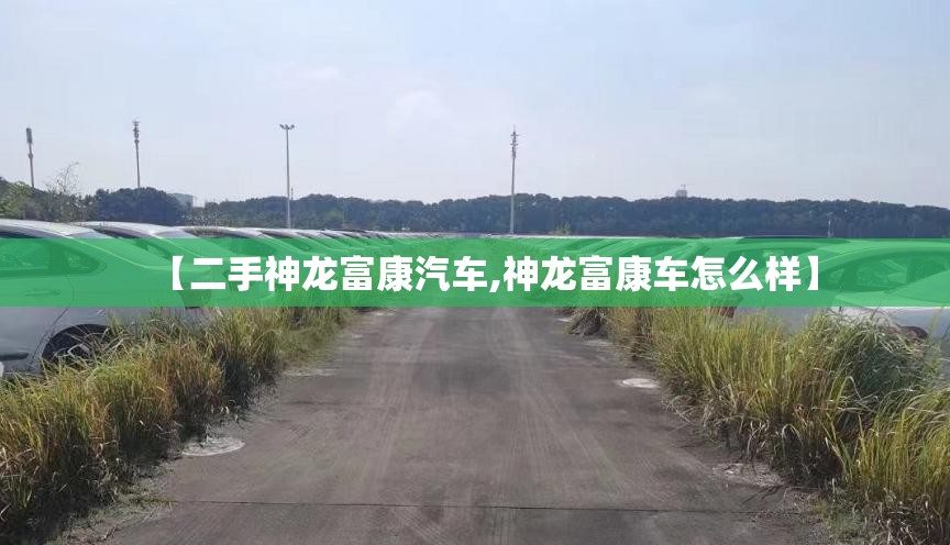 【二手神龙富康汽车,神龙富康车怎么样】