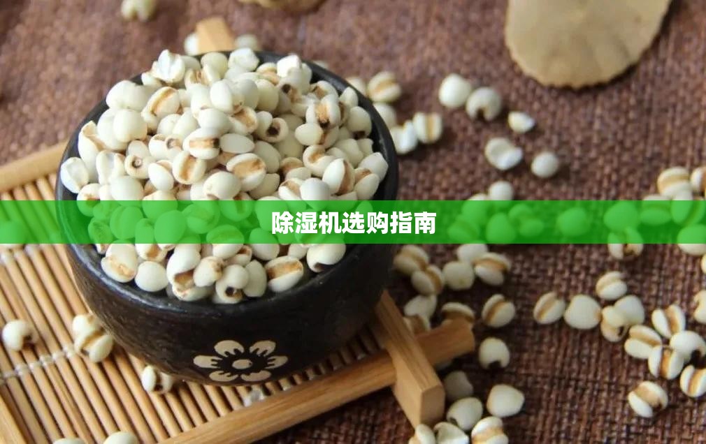 除湿机选购指南/家用除湿机选购指南