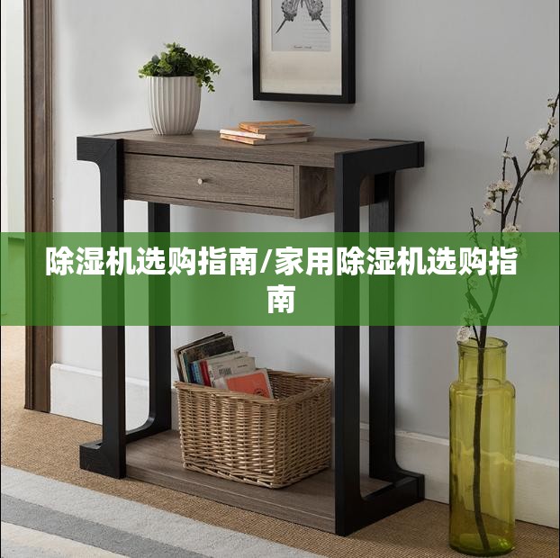 除湿机选购指南/家用除湿机选购指南