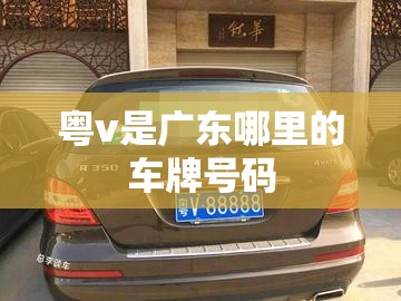 【粤v是广东哪里的车牌号码,粤v是哪里的车牌号码 在哪个区】