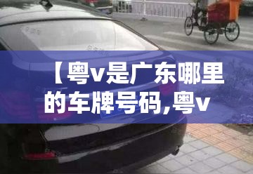 【粤v是广东哪里的车牌号码,粤v是哪里的车牌号码 在哪个区】