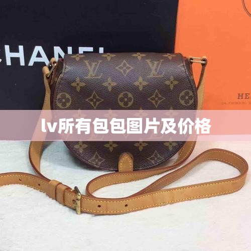【lv所有包包图片及费用,lv所有包包款式图片】