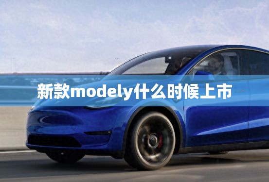 新款modely什么时候上市(modely新款2024)