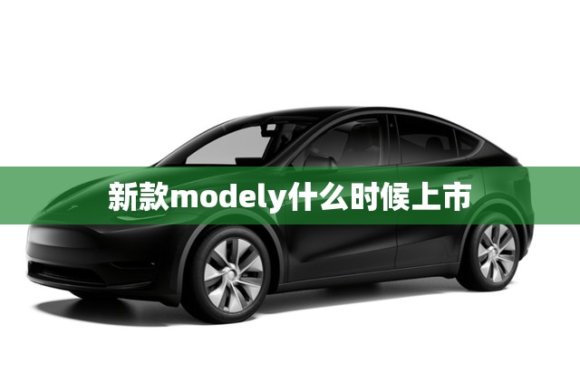 新款modely什么时候上市(modely新款2024)
