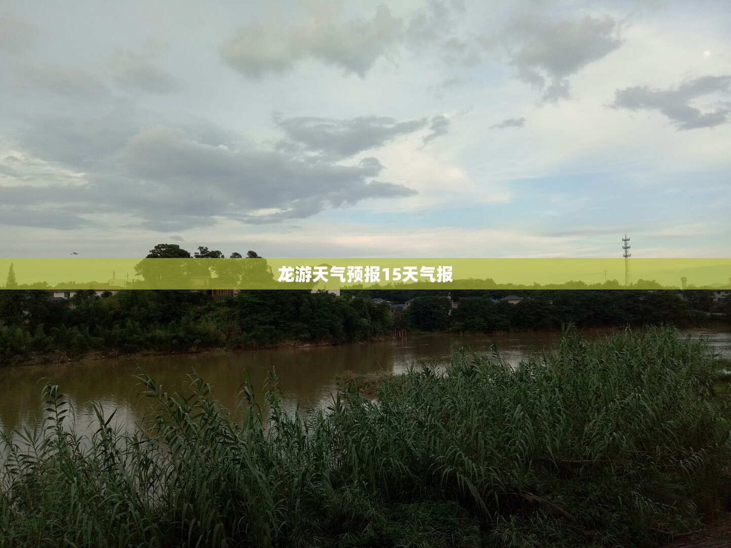 【龙游天气预报15天气报,龙游天气预报15天24小时】