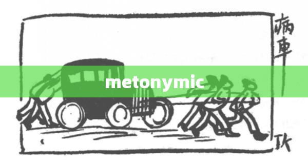【metonymic,metonymical音标】