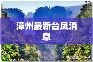 漳州最新台凤消息(漳州台风最新强风情况)