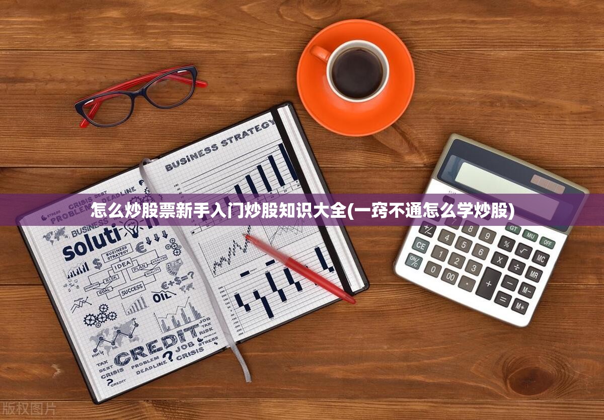 怎么炒股票新手入门炒股知识大全(一窍不通怎么学炒股)