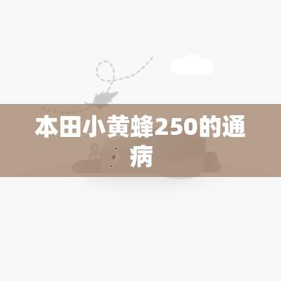 【本田小黄蜂250的通病,本田小黄蜂250大灯】