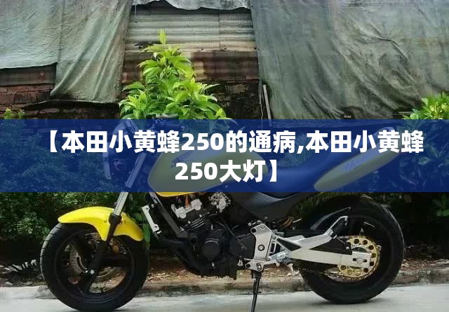 【本田小黄蜂250的通病,本田小黄蜂250大灯】